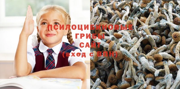 COCAINE Горнозаводск