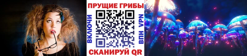 Галлюциногенные грибы Magic Shrooms  как найти   Ставрополь 